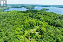 1435 JUDDHAVEN ROAD | Port Carling Ontario | Slide Image One