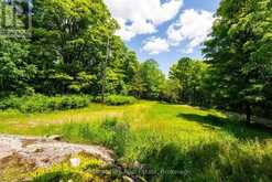 1435 JUDDHAVEN ROAD | Port Carling Ontario | Slide Image Twenty-two