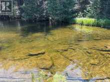 BESIDE 1456 CRYSTAL LAKE ROAD | Kawartha Lakes Ontario | Slide Image Seven