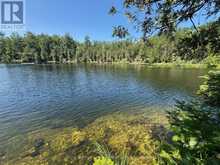 BESIDE 1456 CRYSTAL LAKE ROAD | Kawartha Lakes Ontario | Slide Image Eight