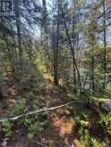 BESIDE 1456 CRYSTAL LAKE ROAD | Kawartha Lakes Ontario | Slide Image Nineteen