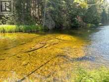 BESIDE 1456 CRYSTAL LAKE ROAD | Kawartha Lakes Ontario | Slide Image Twenty-one