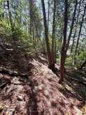 BESIDE 1456 CRYSTAL LAKE ROAD | Kawartha Lakes Ontario | Slide Image Sixteen