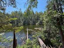 BESIDE 1456 CRYSTAL LAKE ROAD | Kawartha Lakes Ontario | Slide Image Twenty