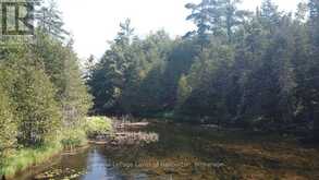 BESIDE 1456 CRYSTAL LAKE ROAD | Kawartha Lakes Ontario | Slide Image Twenty-two