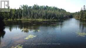 BESIDE 1456 CRYSTAL LAKE ROAD | Kawartha Lakes Ontario | Slide Image Twenty-three