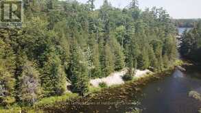 BESIDE 1456 CRYSTAL LAKE ROAD | Kawartha Lakes Ontario | Slide Image Twenty-six