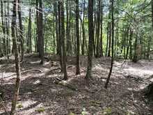 BESIDE 1456 CRYSTAL LAKE ROAD | Kawartha Lakes Ontario | Slide Image Thirty-one