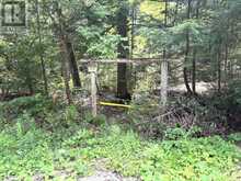 BESIDE 1456 CRYSTAL LAKE ROAD | Kawartha Lakes Ontario | Slide Image Thirty-six
