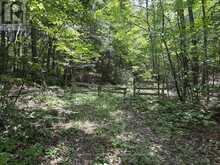 BESIDE 1456 CRYSTAL LAKE ROAD | Kawartha Lakes Ontario | Slide Image Thirty-seven