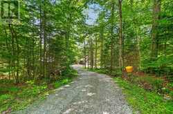 1355 BELLWOOD ACRES ROAD | Lake of Bays Ontario | Slide Image Forty-six