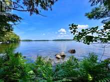 1 CEDAR ISLAND | Port Carling Ontario | Slide Image Eleven