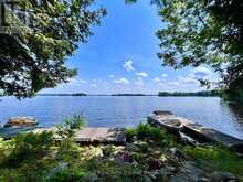 1 CEDAR ISLAND | Port Carling Ontario | Slide Image Twelve