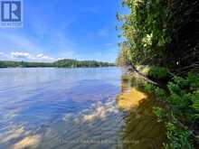 1 CEDAR ISLAND | Port Carling Ontario | Slide Image Sixteen