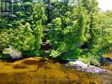 1 CEDAR ISLAND | Port Carling Ontario | Slide Image Eighteen