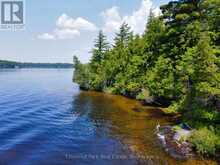 1 CEDAR ISLAND | Port Carling Ontario | Slide Image Five