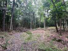 1149 GOLDEN BEACH ROAD | Bracebridge Ontario | Slide Image Ten