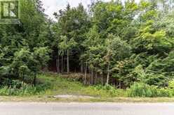 1149 GOLDEN BEACH ROAD | Bracebridge Ontario | Slide Image Thirteen