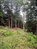 1149 GOLDEN BEACH ROAD | Bracebridge Ontario | Slide Image Three