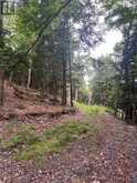 1149 GOLDEN BEACH ROAD | Bracebridge Ontario | Slide Image Nine