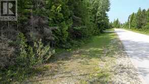 LT 11 SPRY ROAD | Lion's Head Ontario | Slide Image Twenty-four
