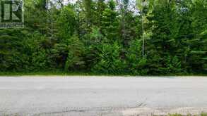 LT 11 SPRY ROAD | Lion's Head Ontario | Slide Image Four