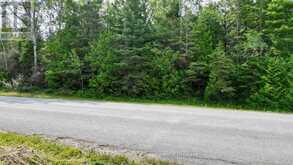LT 11 SPRY ROAD | Lion's Head Ontario | Slide Image Five