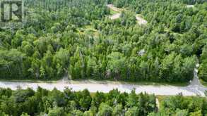 LT 11 SPRY ROAD | Lion's Head Ontario | Slide Image Nine
