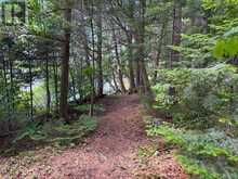 634 WA WHITESTONE LAKE | Whitestone Ontario | Slide Image Twenty