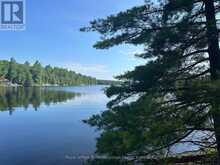 9075 HARRIS LAKE WATER | Whitestone Ontario | Slide Image Thirty-seven