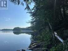 9075 HARRIS LAKE WATER | Whitestone Ontario | Slide Image Thirty-nine