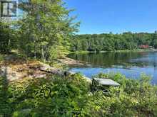 9075 HARRIS LAKE WATER | Whitestone Ontario | Slide Image Thirty-two