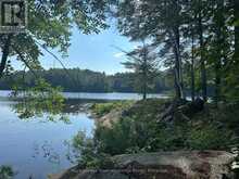 9075 HARRIS LAKE WATER | Whitestone Ontario | Slide Image Thirty-eight