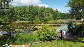 121 STANLEY ROAD | Kawartha Lakes Ontario | Slide Image Forty-six