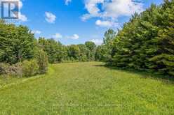 PT LT 27 CONCESSION 16 ROAD | Neustadt Ontario | Slide Image Twelve