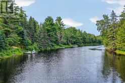 1162 HIGH FALLS ROAD | Bracebridge Ontario | Slide Image Forty-nine