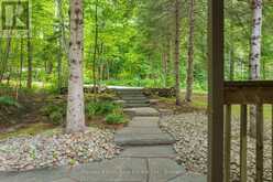 4169 SOUTH PORTAGE ROAD | Huntsville Ontario | Slide Image Fifty