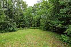 496 BERFORD LAKE ROAD | Georgian Bluffs Ontario | Slide Image Twenty-two