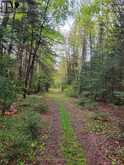 1765 MACHAR STRONG BOUNDARY ROAD | Sundridge Ontario | Slide Image Six