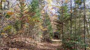 96 520 HIGHWAY W | Magnetawan Ontario | Slide Image Thirty-two