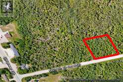 PT FM LT 4 CHI SIN TIB DEK ROAD | Tobermory Ontario | Slide Image Twenty