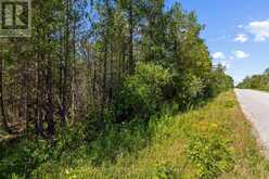 PT FM LT 4 CHI SIN TIB DEK ROAD | Tobermory Ontario | Slide Image Five