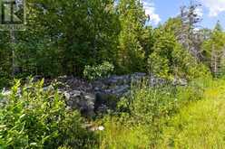 PT FM LT 4 CHI SIN TIB DEK ROAD | Tobermory Ontario | Slide Image Eight