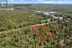 PART FARM LOT 4 CHI SIN TIB DEK ROAD | Tobermory Ontario | Slide Image Twelve