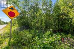 PART FARM LOT 4 CHI SIN TIB DEK ROAD | Tobermory Ontario | Slide Image Six