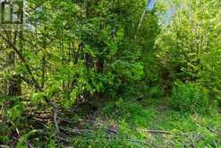 PART FARM LOT 4 CHI SIN TIB DEK ROAD | Tobermory Ontario | Slide Image Seven