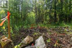 PART FARM LOT 4 CHI SIN TIB DEK ROAD | Tobermory Ontario | Slide Image Eight