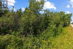 PART FARM LOT 4 CHI SIN TIB DEK ROAD | Tobermory Ontario | Slide Image Nine