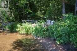 10673 KIMBALL LAKE | Lake of Bays Ontario | Slide Image Six