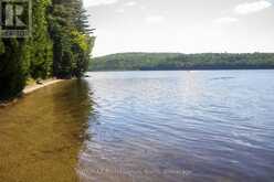 10673 KIMBALL LAKE | Lake of Bays Ontario | Slide Image Seven